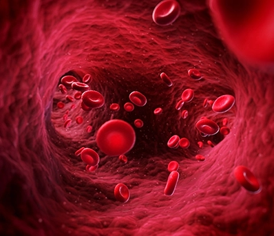 Healthy Blood Flow